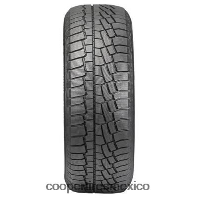 Cooper llantas descubridor verdadero norte 215/45r17xl 91h bsw P06VXD196 - Image 4