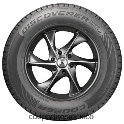 Cooper llantas descubridor verdadero norte 245/50r20 102h bsw P06VXD429 - Image 2